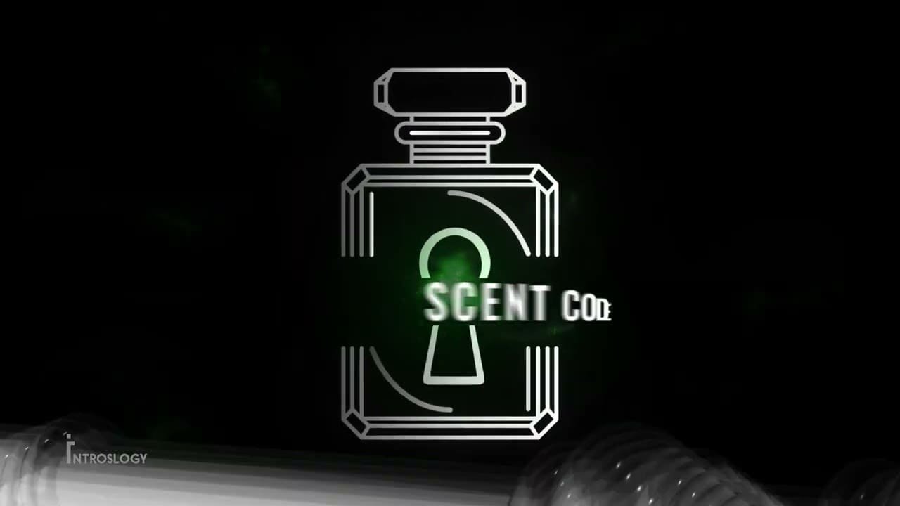 2D Logo Animation Services